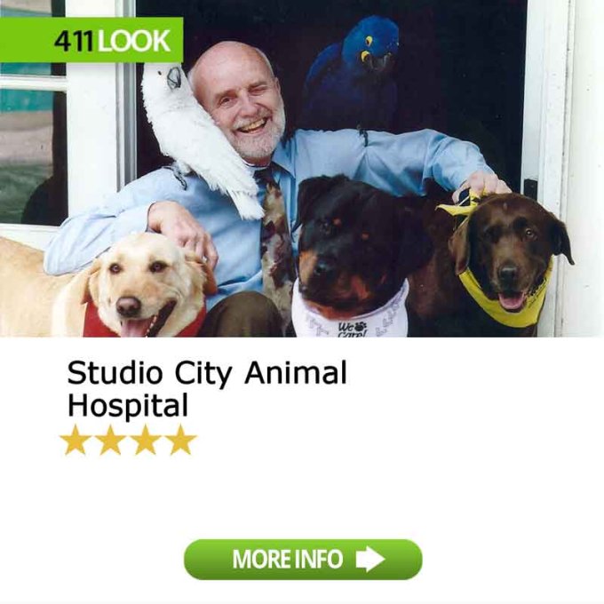 Studio City Animal Hospital