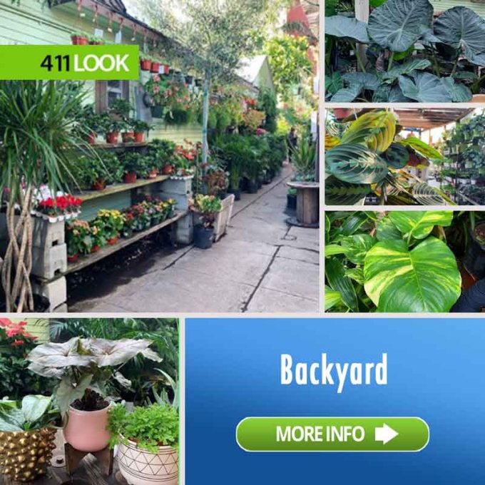 Mickey Hargitay Plants