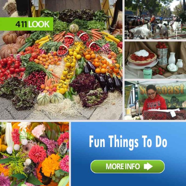 Studio City Farmers Market