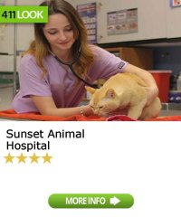 Sunset Animal Hospital